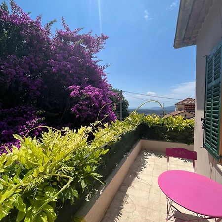Villa 2 Chambres Renovee Juillet 2023 - Vue Mer - Parking Prive Grasse Eksteriør billede
